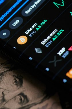 Kripto para biriminin artan fiyatı 