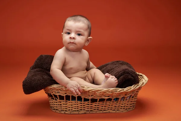 Menino pequeno na cesta — Fotografia de Stock