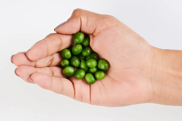 Bayas de café verde — Foto de Stock