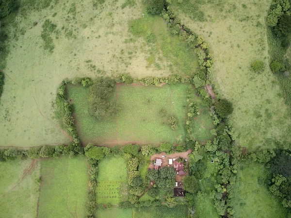 Granja verde por encima de la vista — Foto de Stock