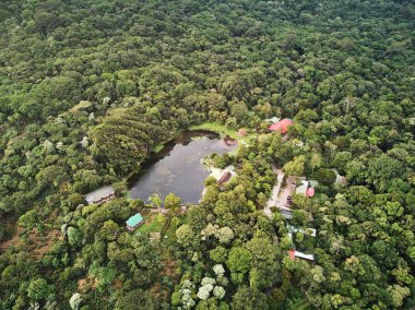 Ormanla çevrili göl