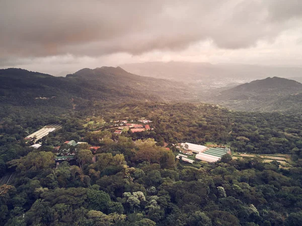 Cacao and coffee farm