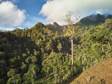güzel dağ manzarası 
