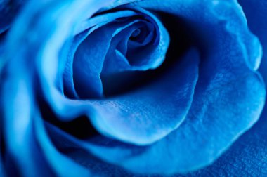 soyut çiçek arka plan