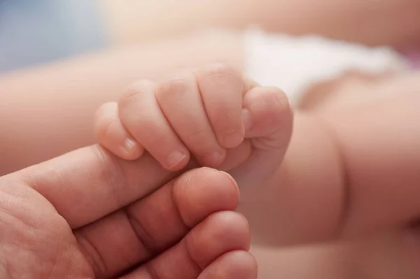 Младенец держит палец мамы — стоковое фото