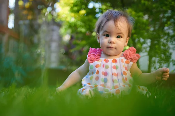 Bonito bebé en el campo de verano — Foto de Stock