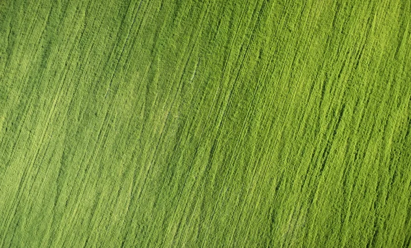 Текстура Зеленого Поля Земли Солнечный День Над Видом Сверху — стоковое фото