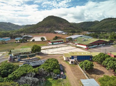 Kahve endüstrisi teması. Arap kahvesi için boş tarlalar