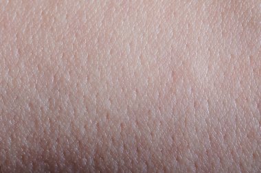 Beyaz insan temiz cilt arka plan makrosu yakın görünüm