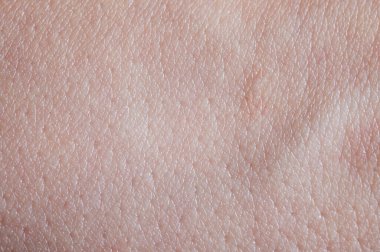 Genç deri dokusu arka plan makrosu yakın görünüm