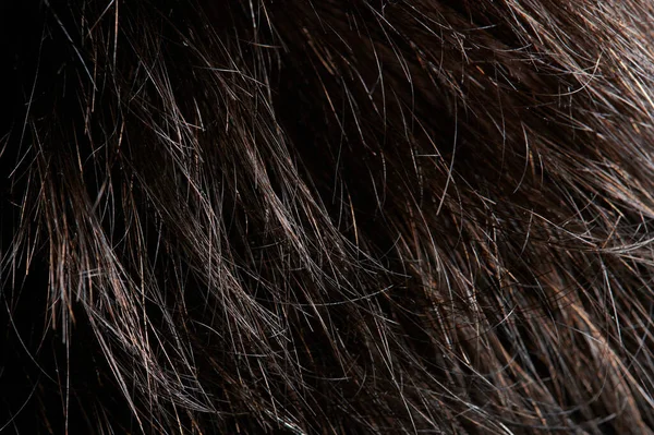 Texture Brun Foncé Cheveux Désordonnés Extrémités Macro Vue Près — Photo