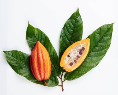 Dilimlenmiş kakao kabuğu, beyaz arka planda izole edilmiş yeşil yapraklar.