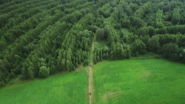 Grupp Atv Skog Antenn Drönare Visa — Stockfoto