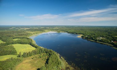 Orman arka planındaki gölet mavi gökyüzü ile hava aracı görüntüsü