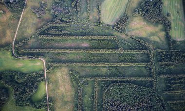 Üst manzaranın üzerinde düz orman çizgileri var.