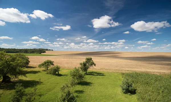 Landwirtschaft Grünes Feld Mit Blauer Himmelsantenne Über Der Draufsicht — Stockfoto