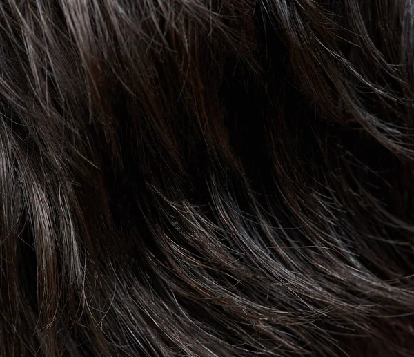 Καθαρίστε Σκούρα Καστανά Μαλλιά Γυναίκα Μακροεντολή Από Κοντά Άποψη — Φωτογραφία Αρχείου