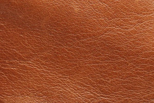 Brown Cow Skin Background Macro Close View — Stock Photo, Image