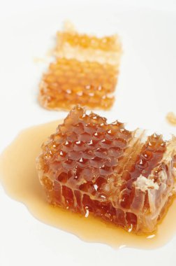 Sıvı altın organik besinli tatlı bal tarağı ürünü