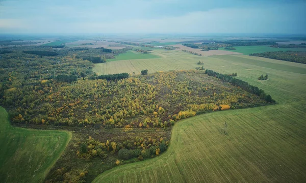 Κοπή Θέματος Δάσους Καταστράφηκε Δάσος Εναέρια Άποψη Drone — Φωτογραφία Αρχείου