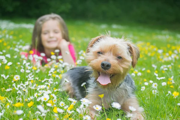 Happy Little Girl Her Dog Out Park — Stock Photo, Image