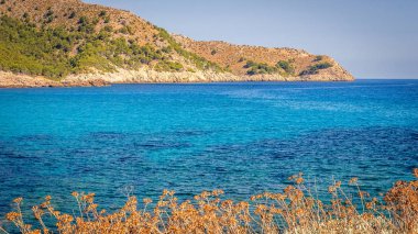 Deniz ve tatil için Mallorca kayalık sahil