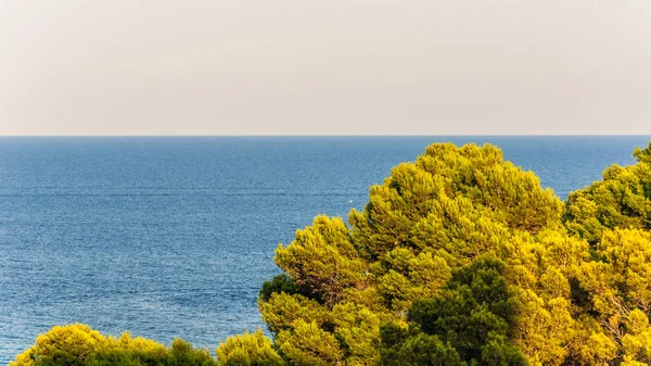 Łodzie Brzegu Morza Mallorca — Zdjęcie stockowe