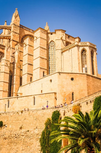Cathedral Mary Palma Mallorca — Stock Photo, Image