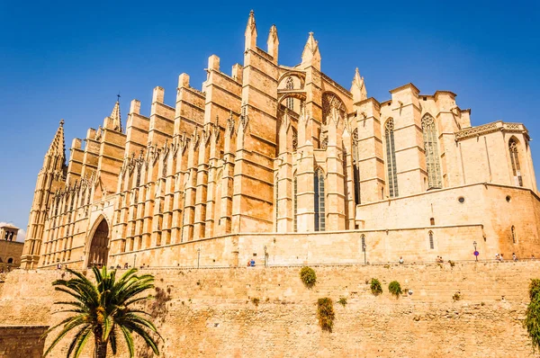 Kathedraal Van Maria Van Palma Mallorca — Stockfoto