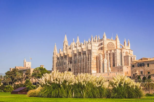 Cathedral Mary Palma Mallorca Stock Image