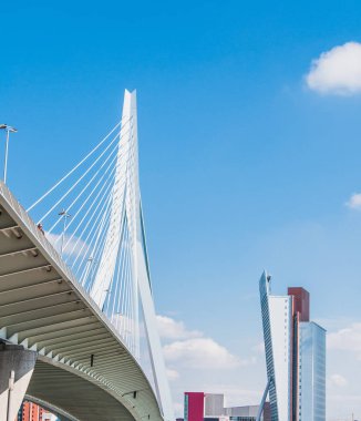 Erasmus Köprüsü, askılı köprü Rotterdam Merkezi