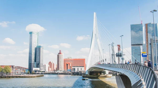 Erasmus Bridge Cable Stayed Bridge Center Rotterdam — Stock Photo, Image