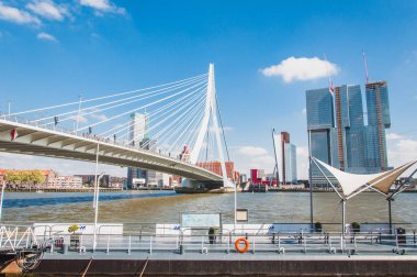 Erasmus Köprüsü, askılı köprü Rotterdam Merkezi