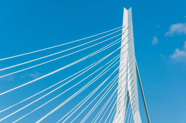 Erasmus Köprüsü, askılı köprü Rotterdam Merkezi