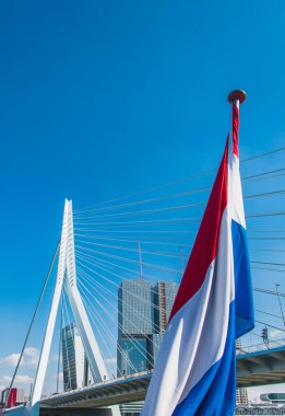 Erasmus Köprüsü, askılı köprü Rotterdam Merkezi