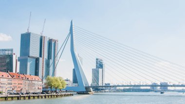 Erasmus Köprüsü, askılı köprü Rotterdam Merkezi
