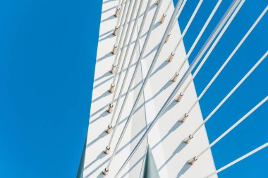 Erasmus Köprüsü, askılı köprü Rotterdam Merkezi