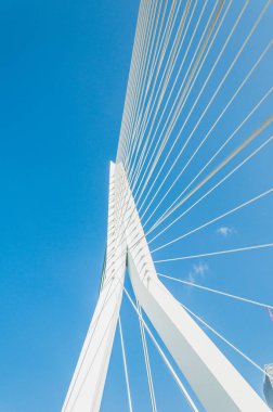 Erasmus Köprüsü, askılı köprü Rotterdam Merkezi