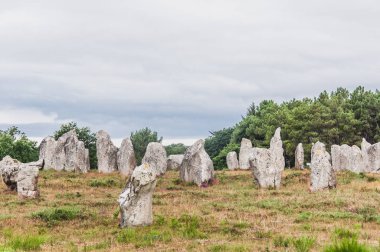 Carnac Dnas 'taki Menhir tarlaları Britanya' daki Morbihan, Fransa