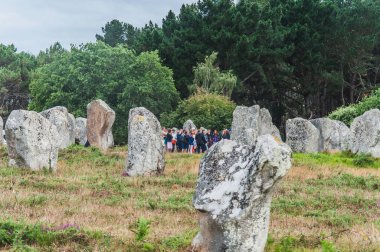 Carnac Dnas 'taki Menhir tarlaları Britanya' daki Morbihan, Fransa