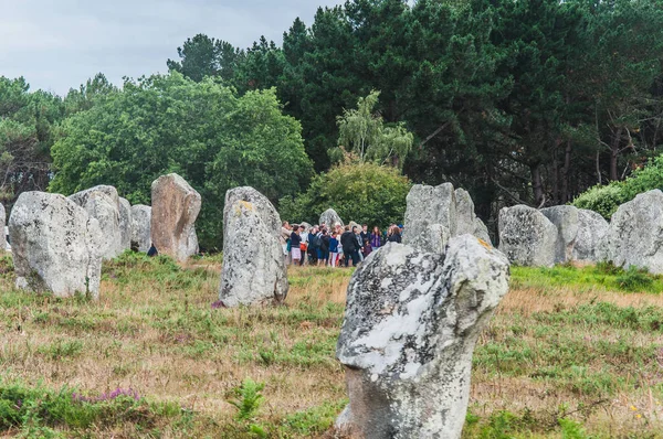 Menhir fields in Carnac dnas the morbihan in brittany, Francia — Foto de Stock