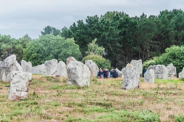 Carnac Dnas 'taki Menhir tarlaları Britanya' daki Morbihan, Fransa