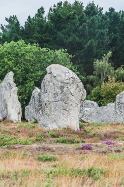 Carnac Dnas 'taki Menhir tarlaları Britanya' daki Morbihan, Fransa