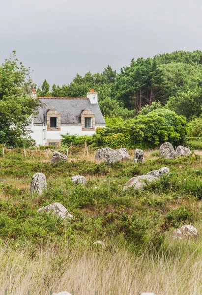 Campos Menhir en Carnac en el morbihan en Bretaña, Francia — Foto de Stock