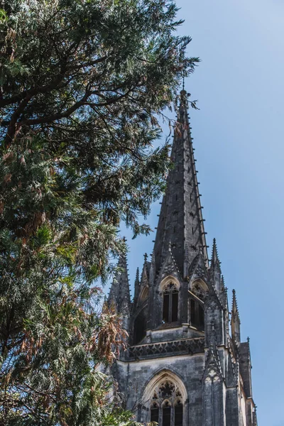 位于法国巴约纳市中心的哥特式圣玛丽大教堂 — 图库照片