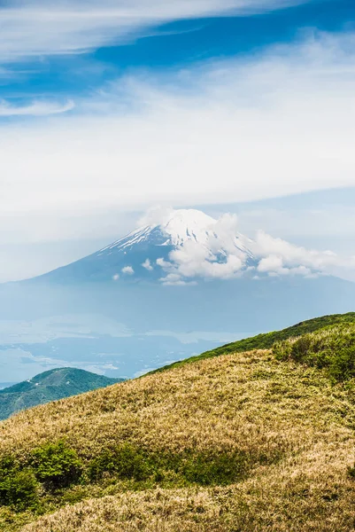Japonya Ilkbaharda Fuji Dağı Manzarası — Stok fotoğraf