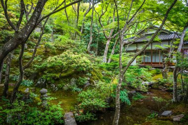 Jojakko-ji tapınak tapınak Arashiyama bambu ormanında, Kyoto, Japonya