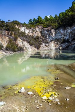 Dumanı tüten gölde Waiotapu jeotermal alanı, Rotorua, Yeni Zelanda