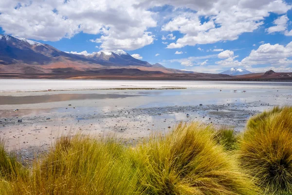 Laguna Honda Sud Lipez Altiplano Reserva Eduardo Avaroa Bolivia — Foto de Stock