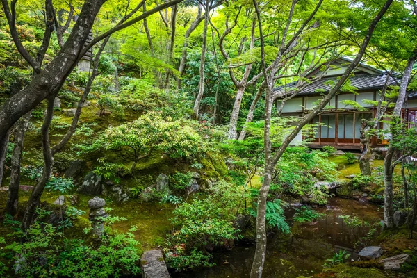 Jojakko Shrine Temple Arashiyama Bambusz Erdőben Kyoto Japán — Stock Fotó